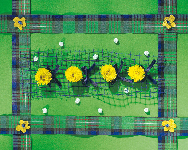 Yellow Flowers on Green — Festive