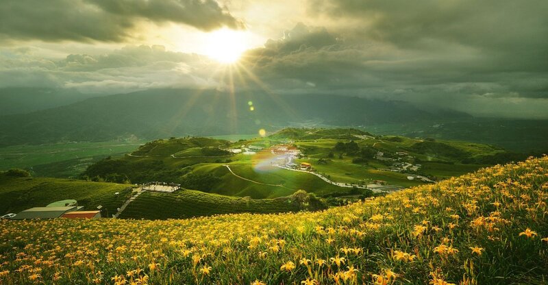 Yellow Flowers on Hills — Dramatic, Sunset, Photograph, Sunlight