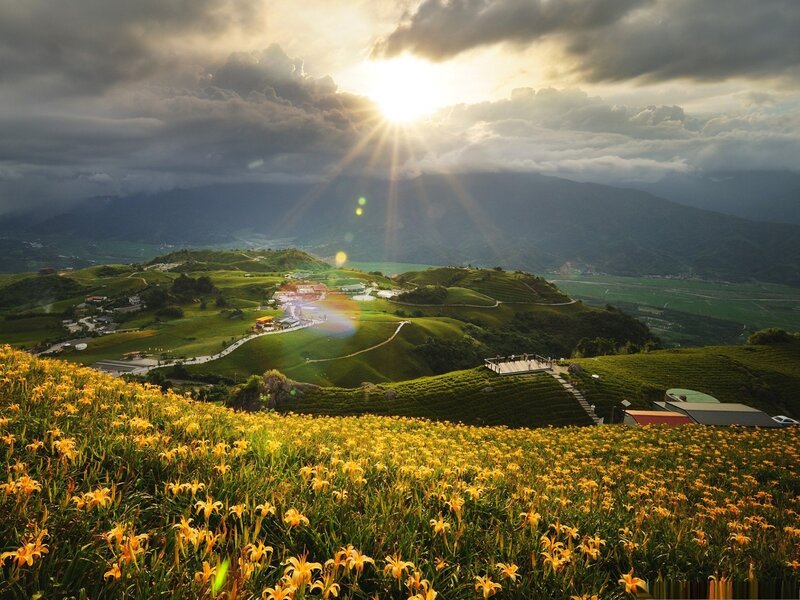 Yellow Flowers on Hills — Dramatic, Sunset, Photograph