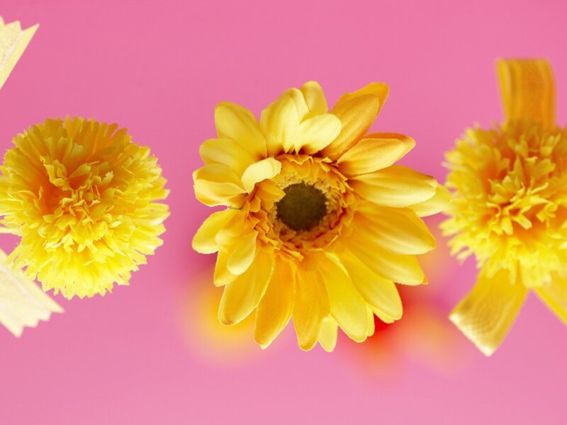 Yellow flowers on pink background