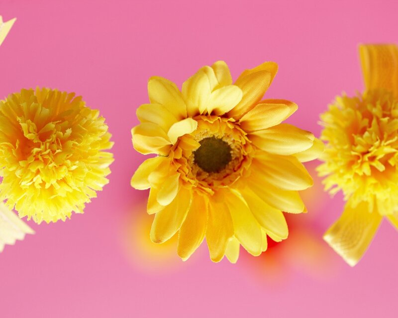 Yellow Flowers on Pink
