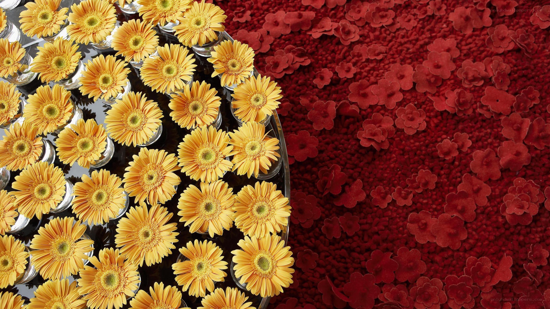 Yellow flowers on red carpet