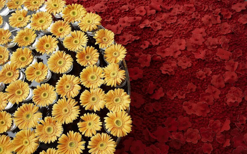 Yellow flowers on red carpet