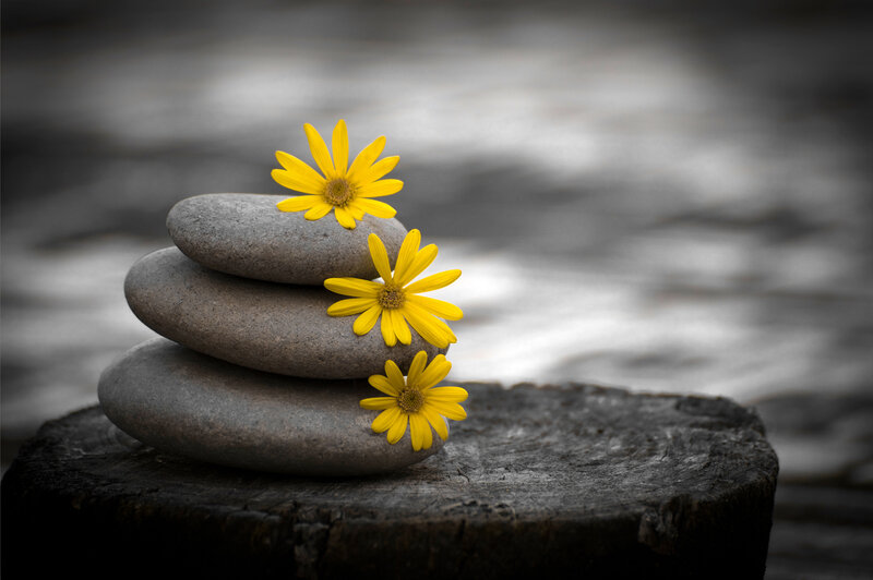 Yellow flowers on stacked stones