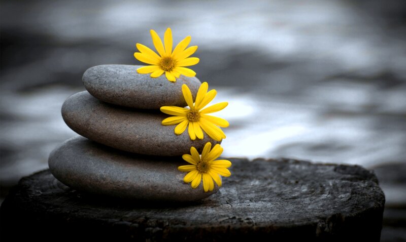 Yellow Flowers on Stones