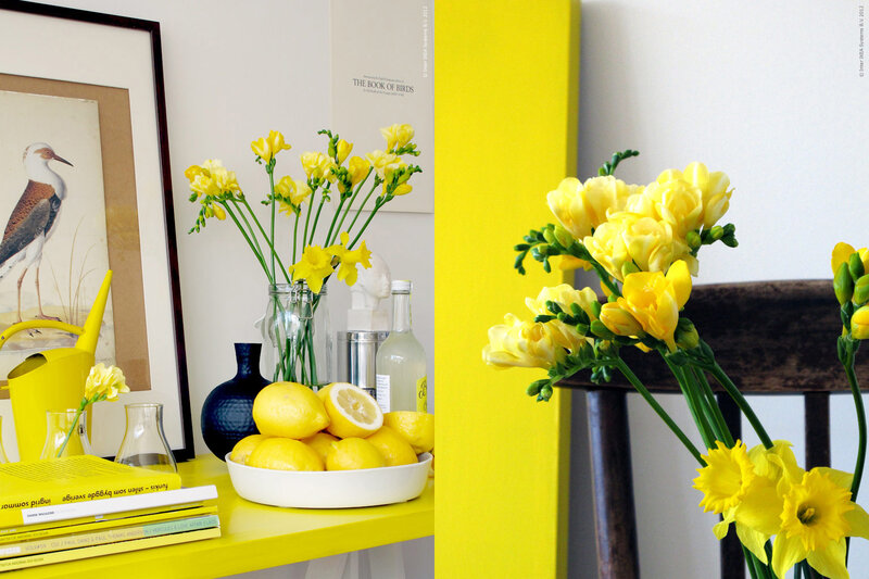 Yellow Flowers on Table — Bright