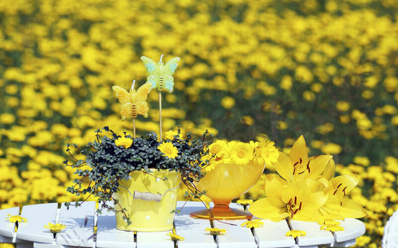 Yellow Flowers on Table — Serene