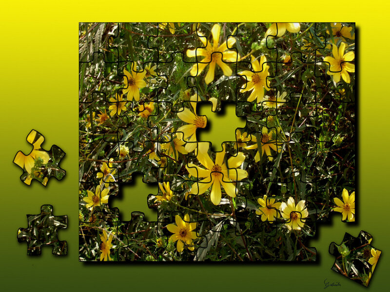 Yellow flowers puzzle