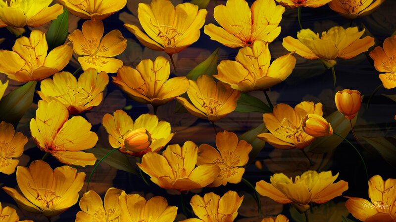 Yellow Flowers Underwater