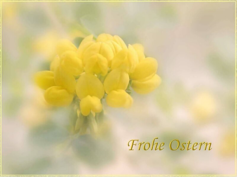 Yellow flowers with Easter greeting