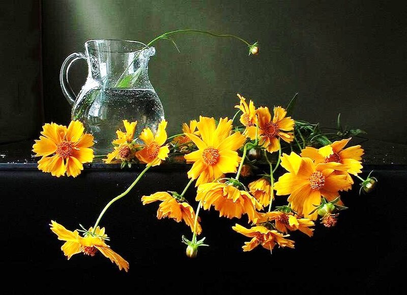 Yellow flowers with glass pitcher