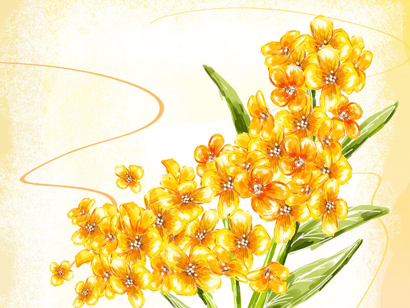 Yellow Flowers with Green Leaves — Calm