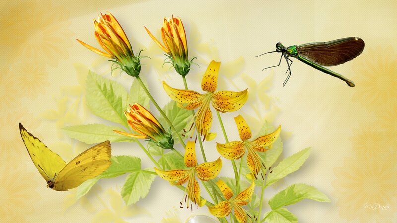 Yellow Flowers with Insects — Serene
