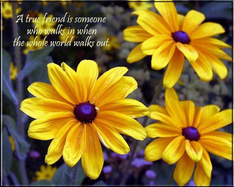 yellow flowers with quote