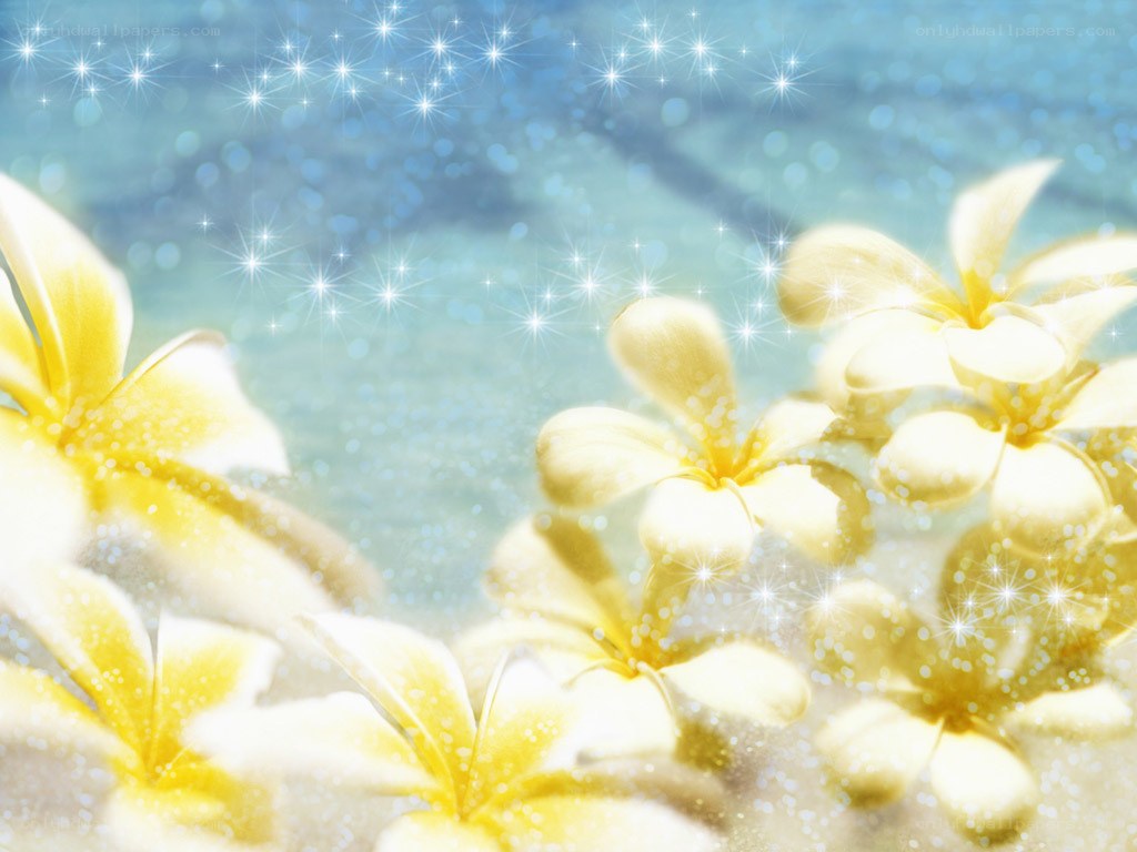 yellow flowers with sparkles