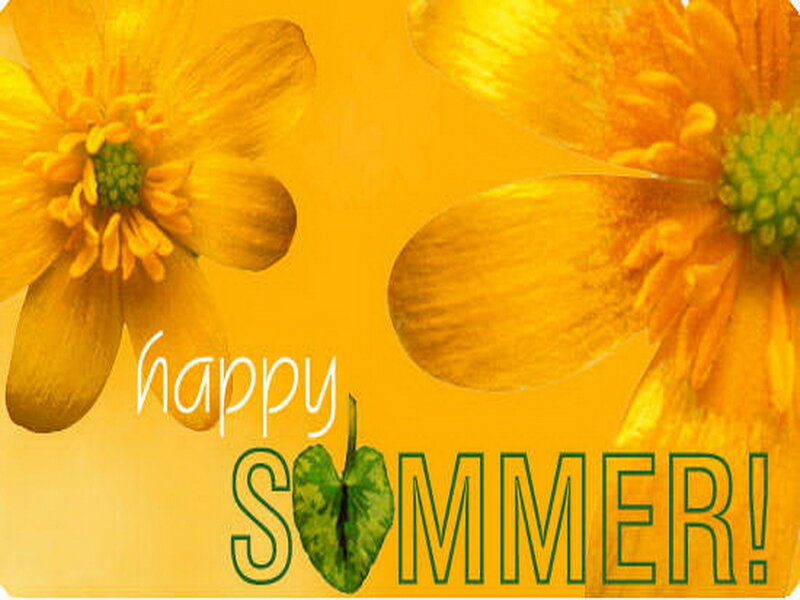 Yellow Flowers with Text