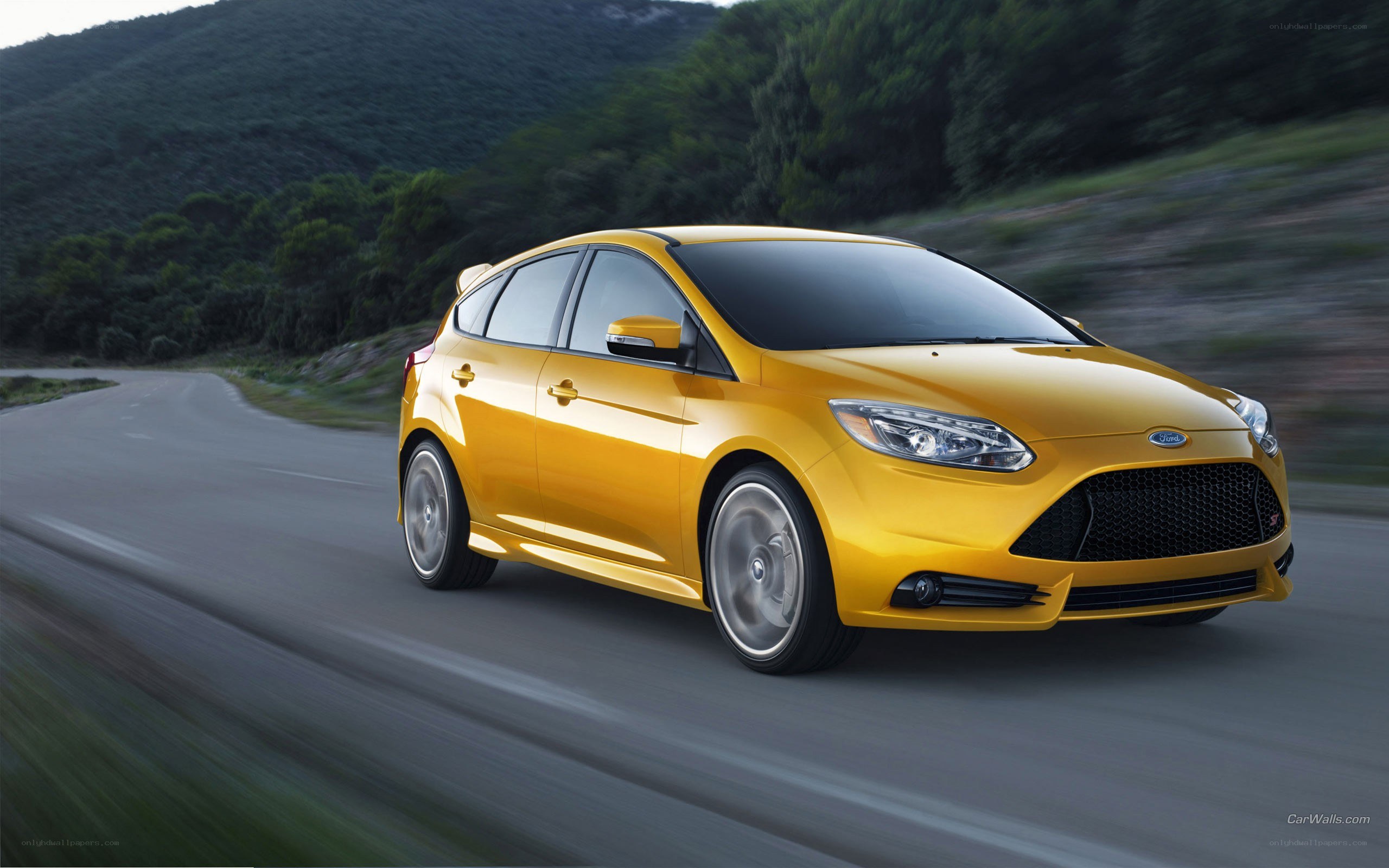 yellow ford focus on road
