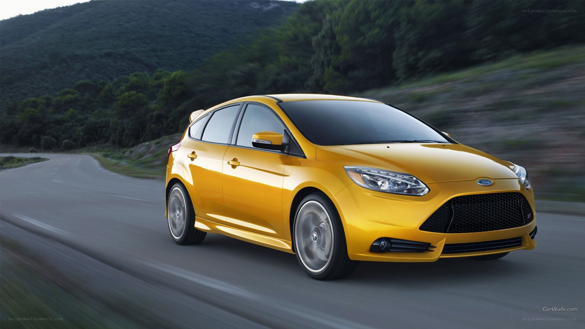 yellow ford focus on road