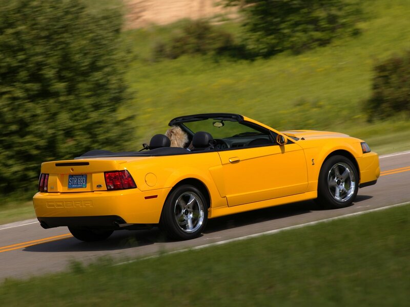 Yellow Ford Mustang Cobra convertible