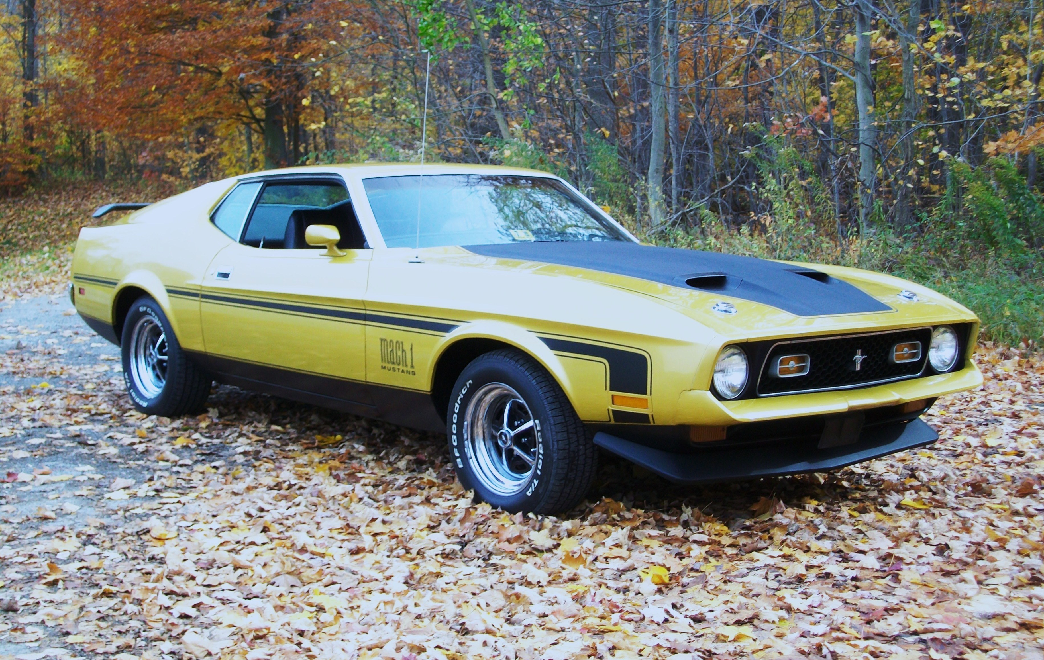 Yellow Ford Mustang Mach 1