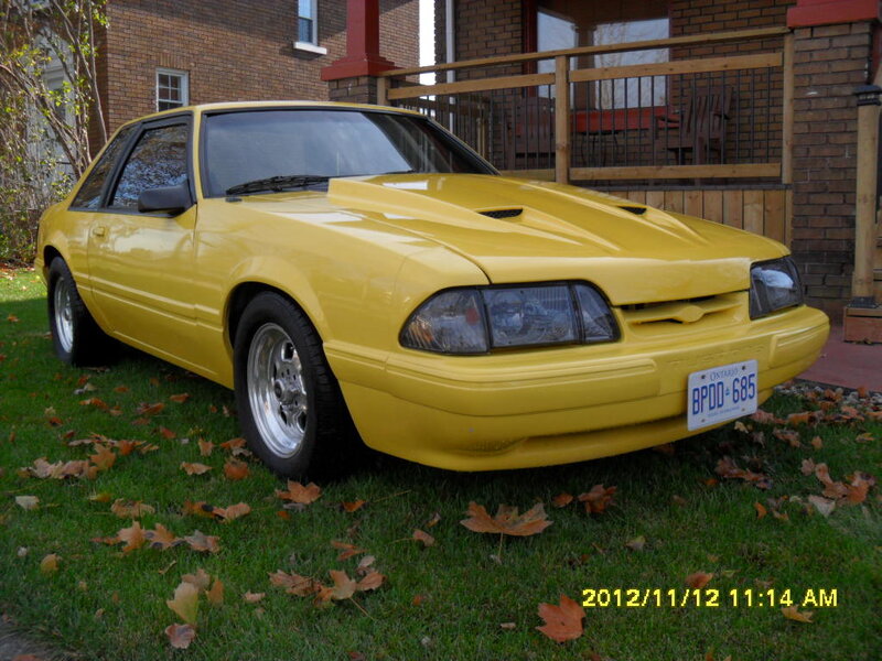 Yellow Fox Body Car