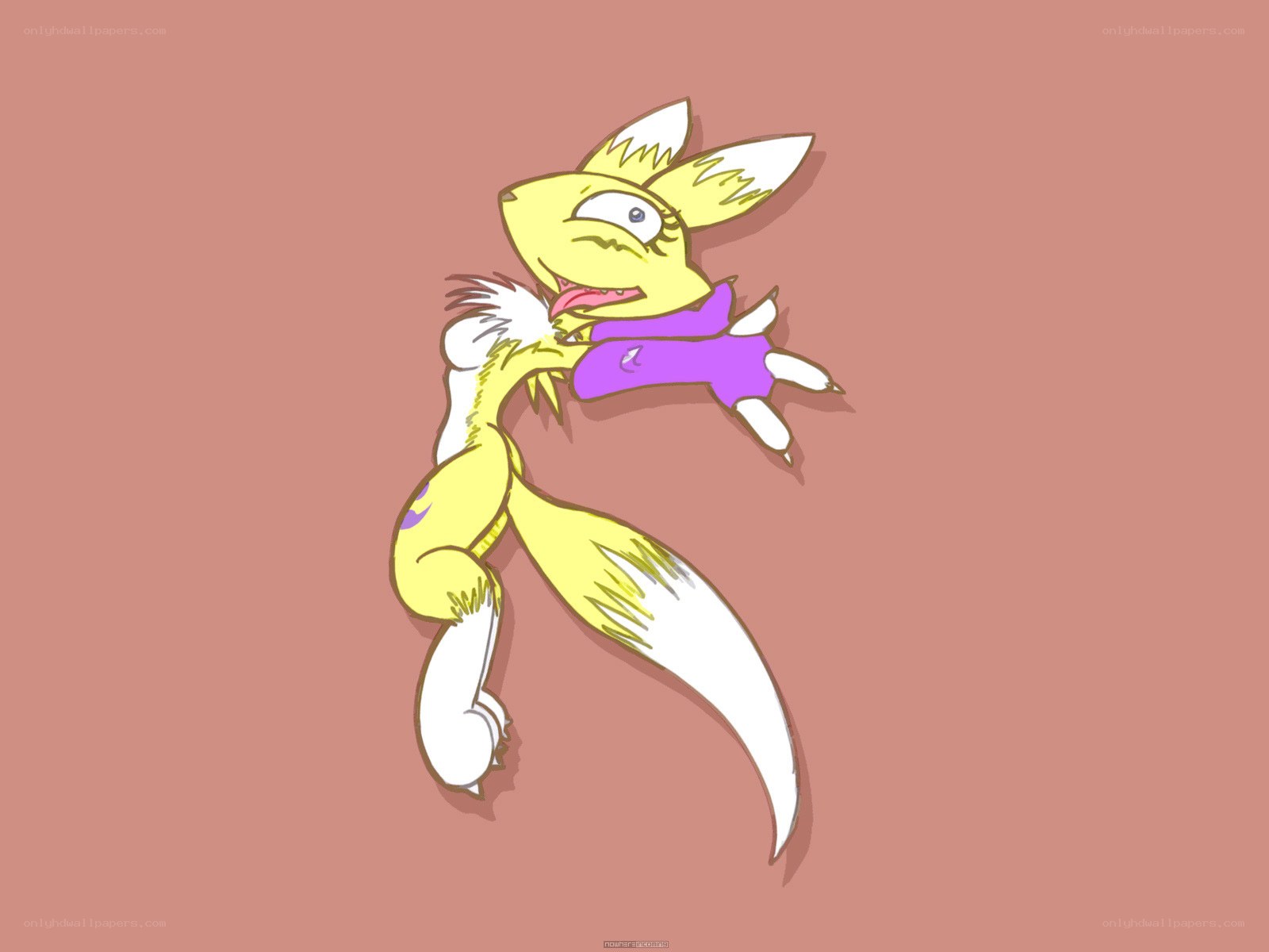yellow fox character illustration