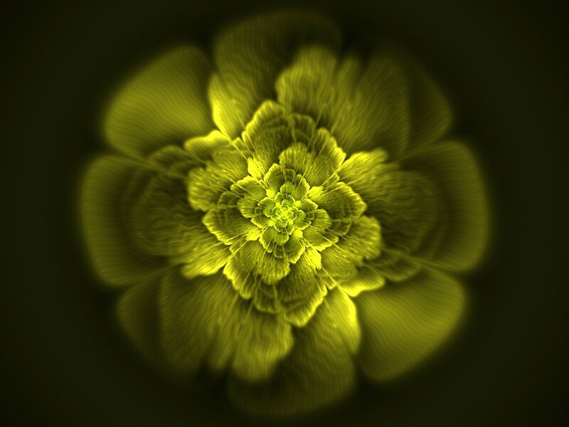 Yellow Fractal Flower — Hypnotic