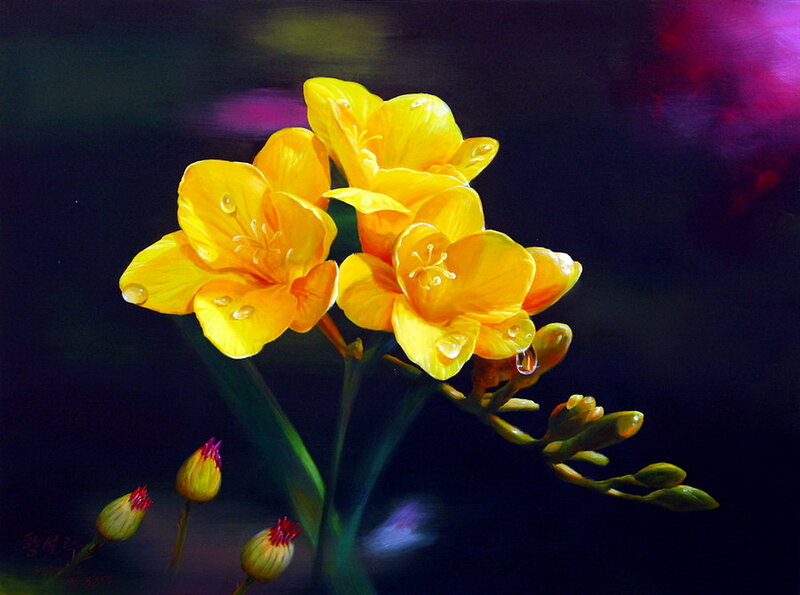 Yellow Freesia Flowers — Dramatic