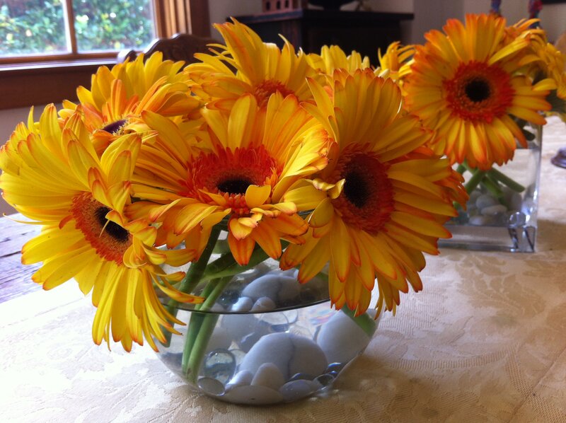 Yellow Gerbera Daisies — Calm, Afternoon, Photograph