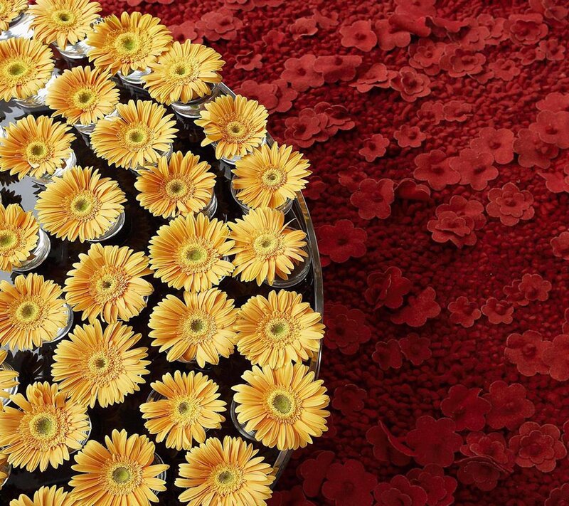 Yellow Gerbera Daisies — Decorative