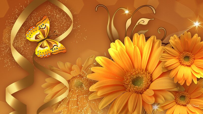 Yellow Gerbera Daisies — Orange