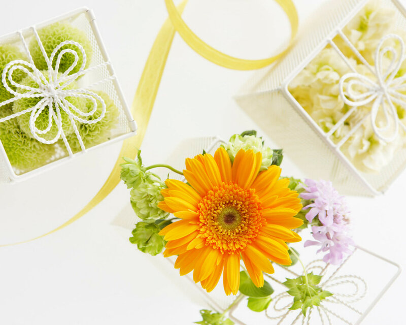 Yellow Gerbera Daisy — Calm, Photograph, Flowers