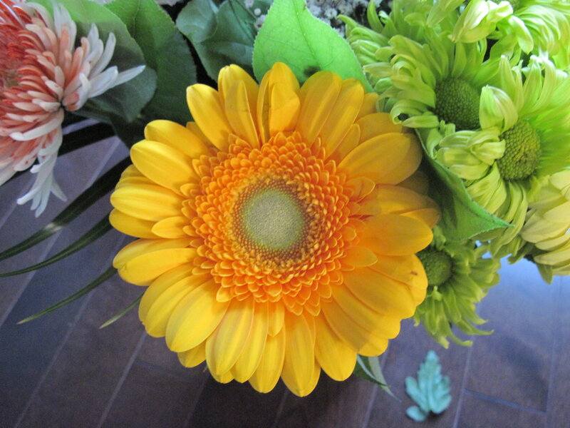 Yellow Gerbera Daisy — Calm, Photograph, Green Flowers