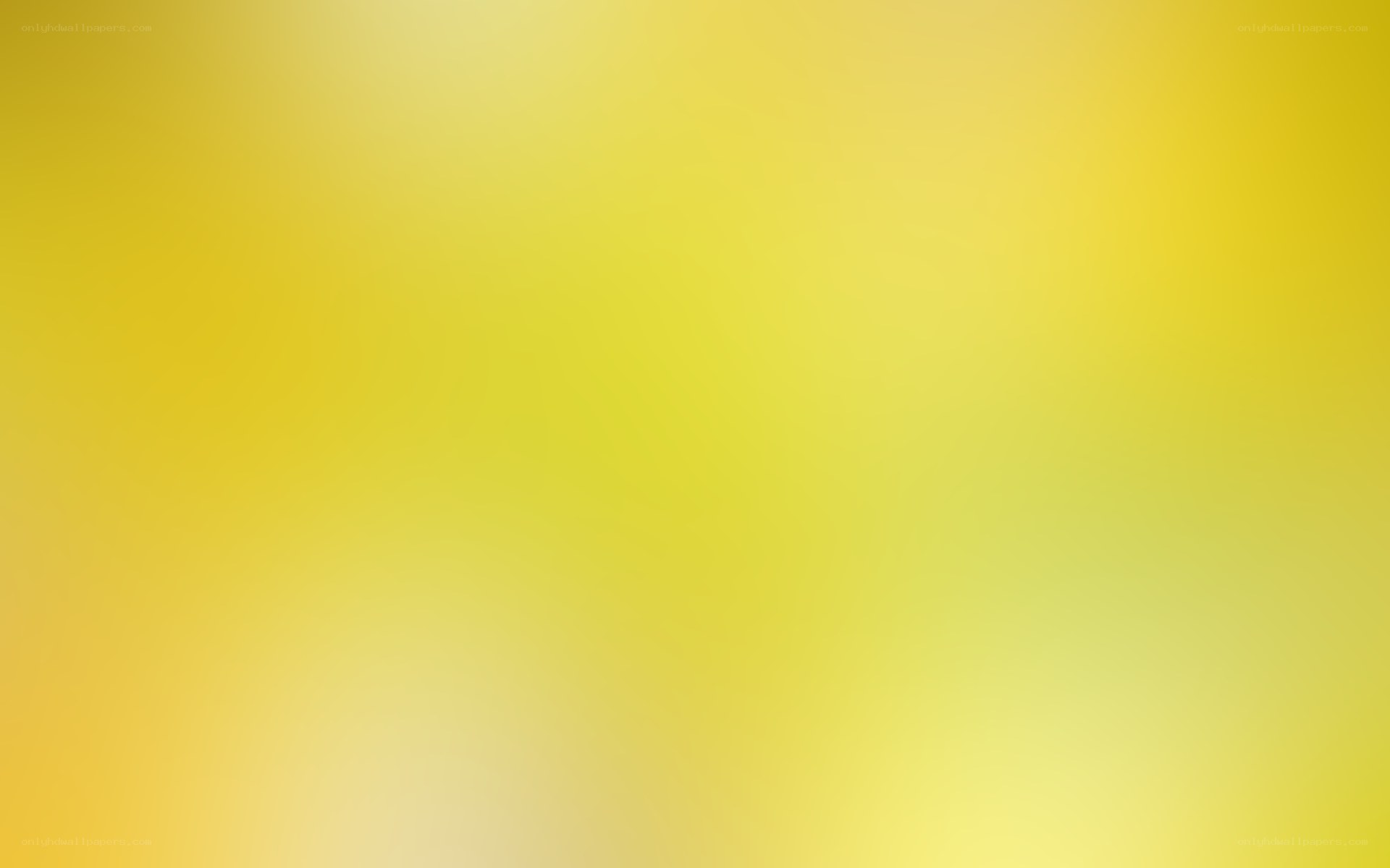 yellow gradient background