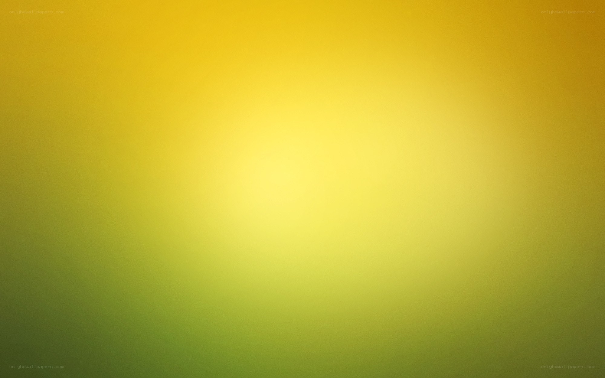yellow-green gradient background