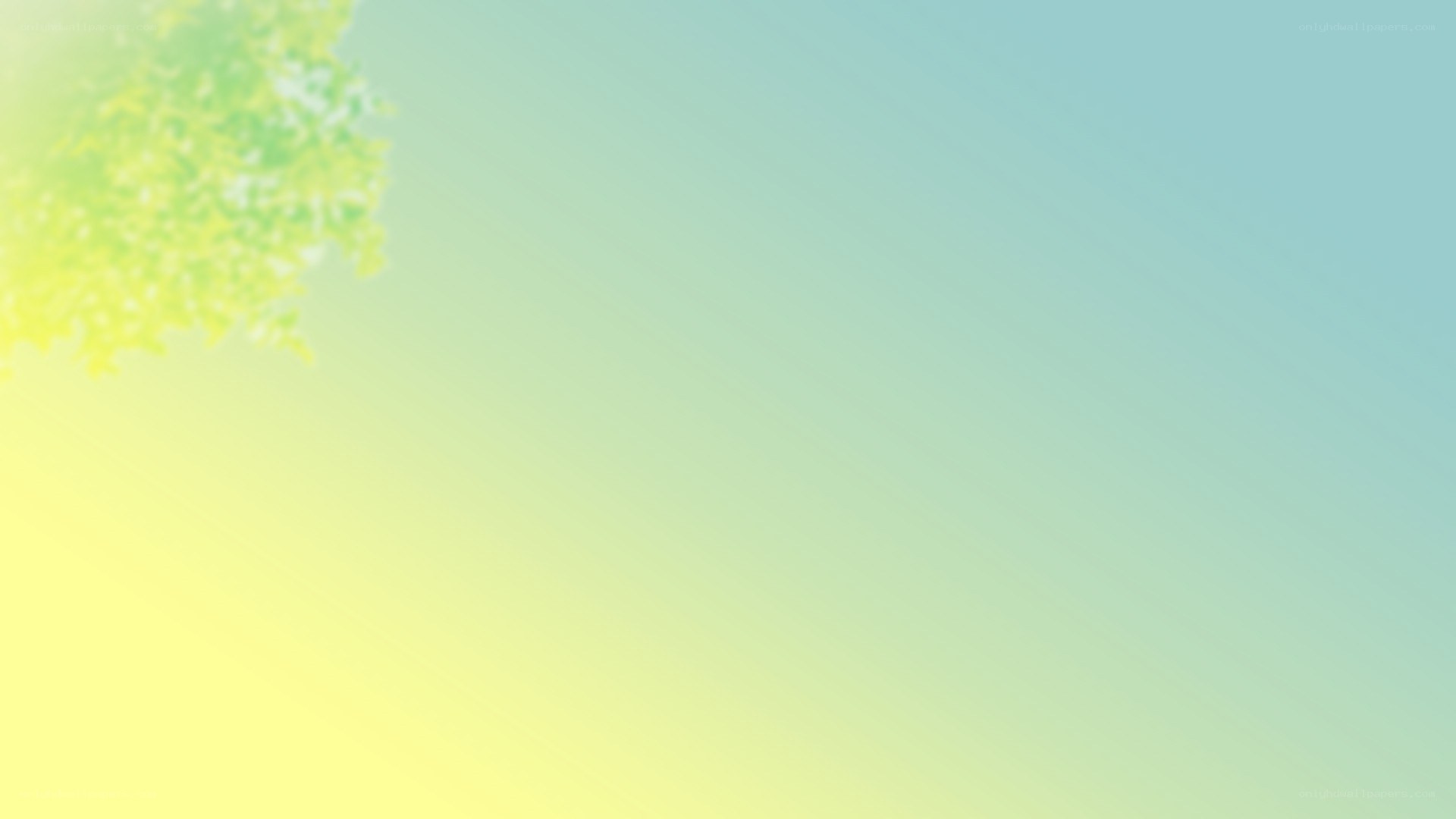 yellow-green gradient background