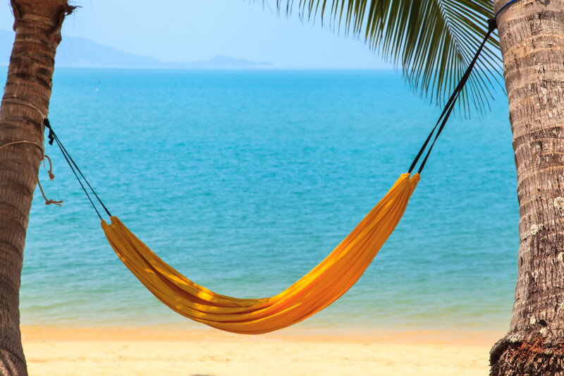 Yellow Hammock Between Palms