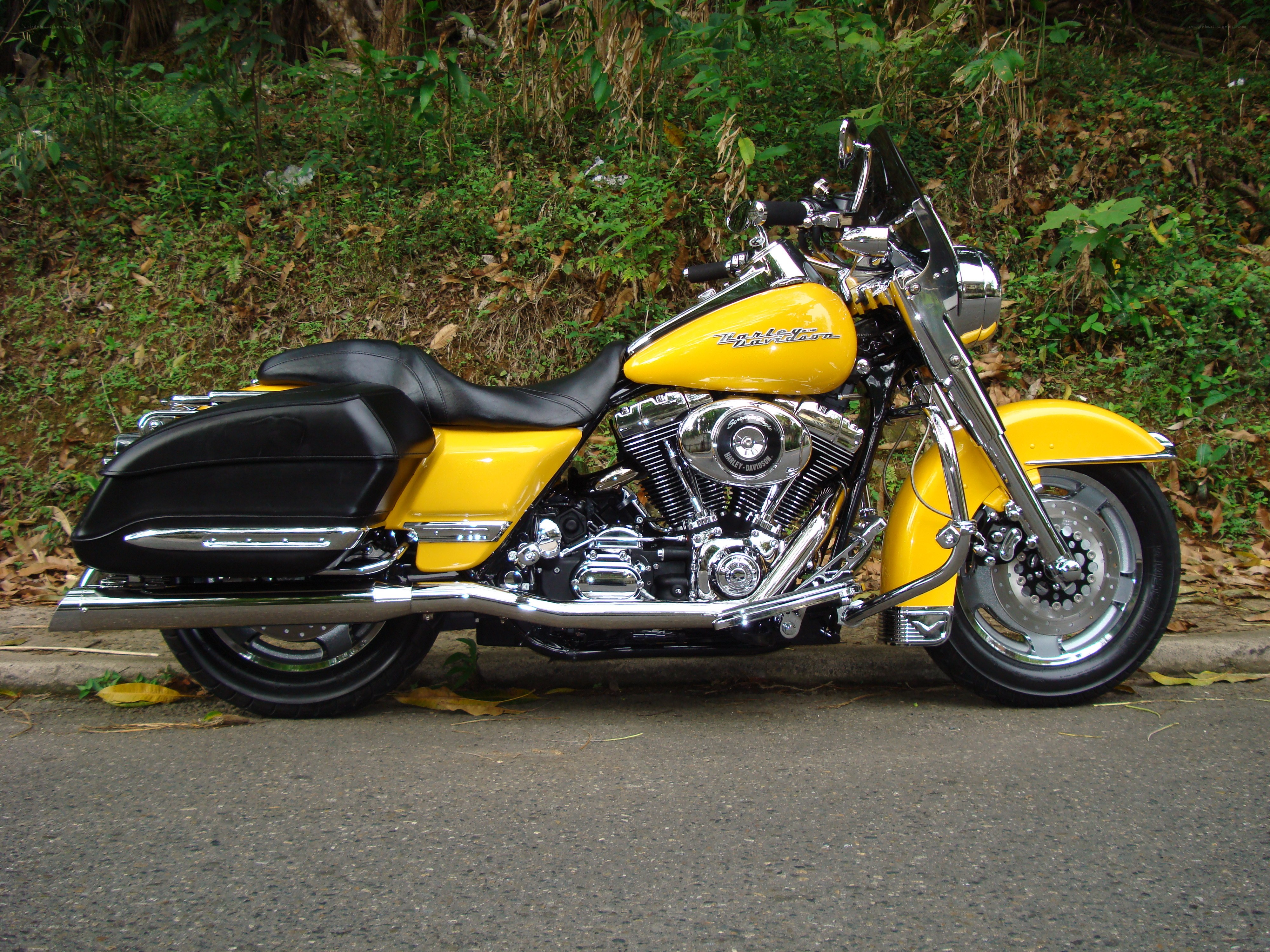 yellow harley-davidson motorcycle