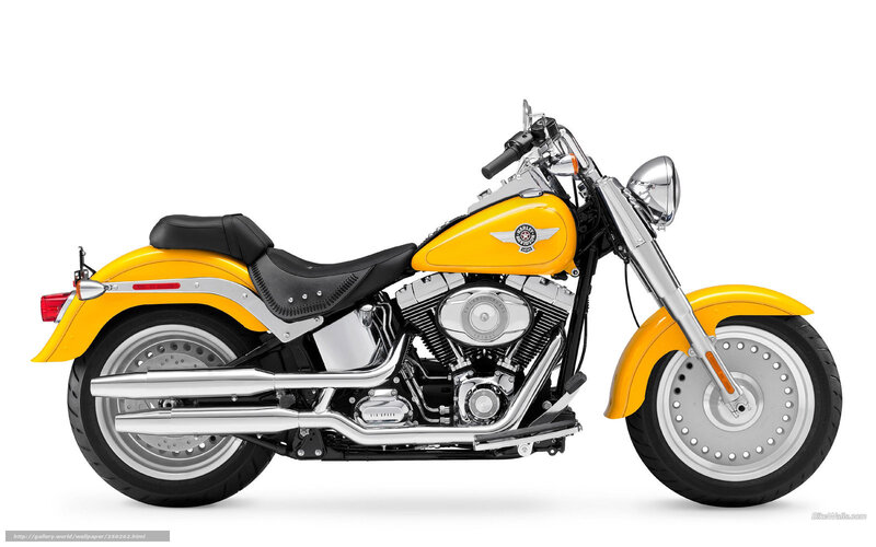 Yellow Harley-davidson Motorcycle — Neutral, Photograph, Seat
