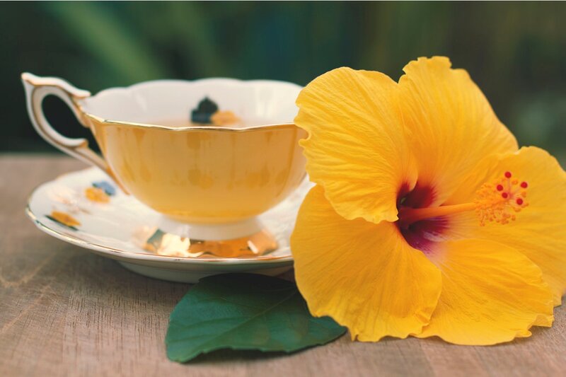 Yellow Hibiscus Flower — Serene, Afternoon, Photograph, Tea Cup