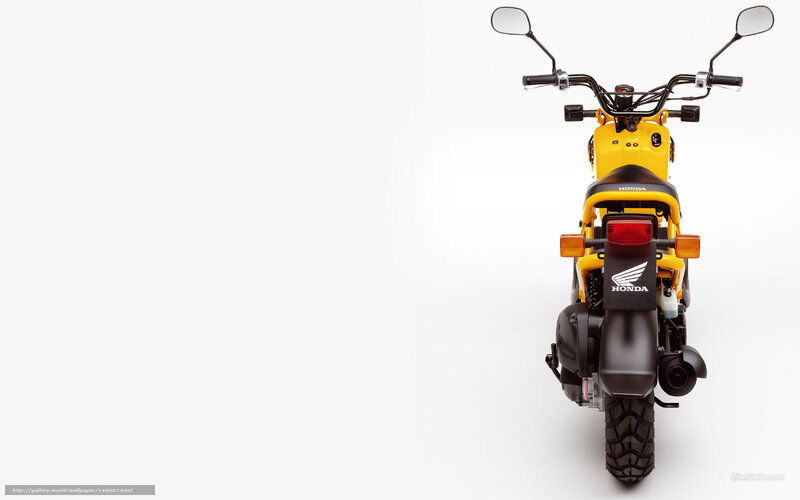 Yellow Honda motorcycle rear view