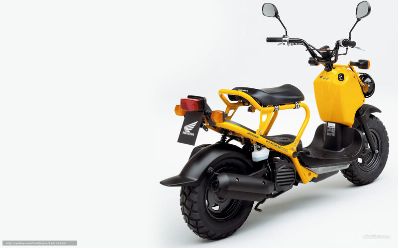 Yellow Honda Scooter — Neutral