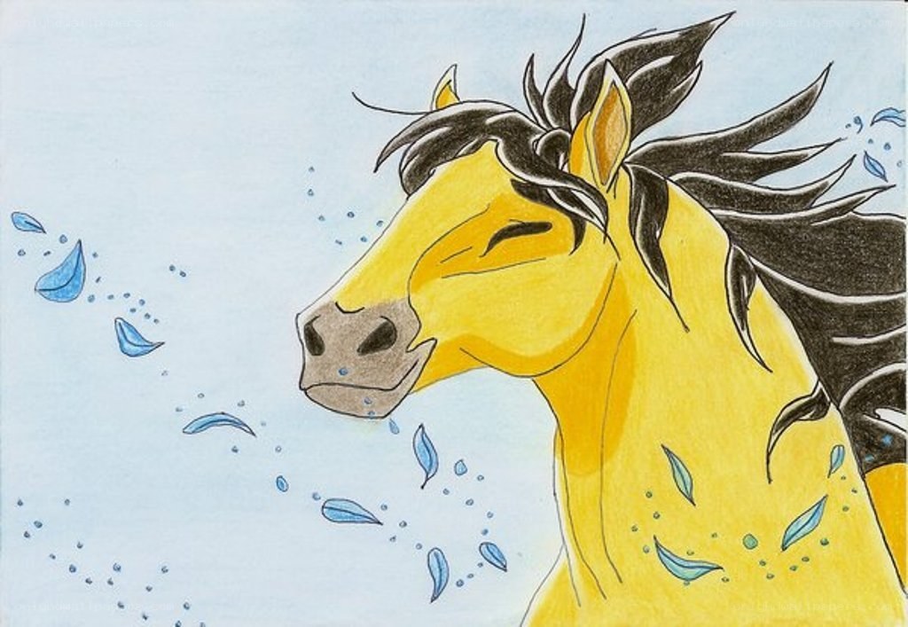 yellow horse with black mane