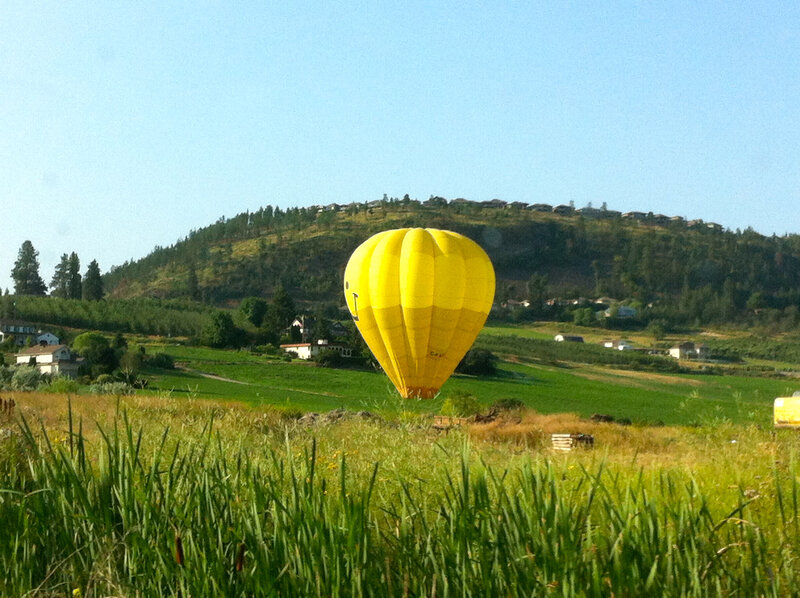 Yellow Hot Air Balloon — Serene