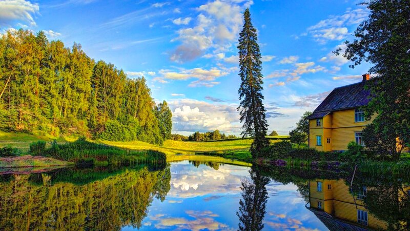 Yellow House by Pond — Blue