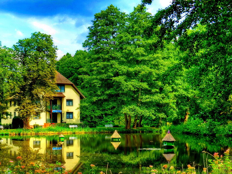 Yellow House by Pond — Green