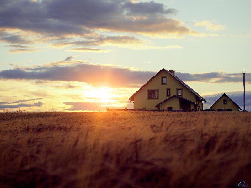 Yellow House in Field — Gold