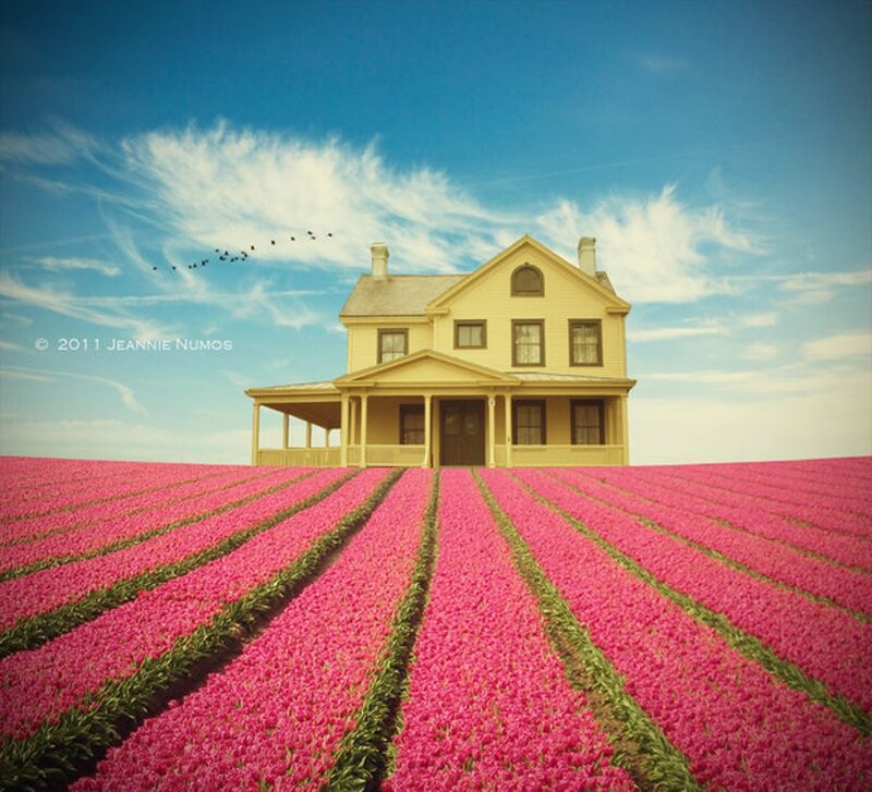 Yellow House in Flower Field