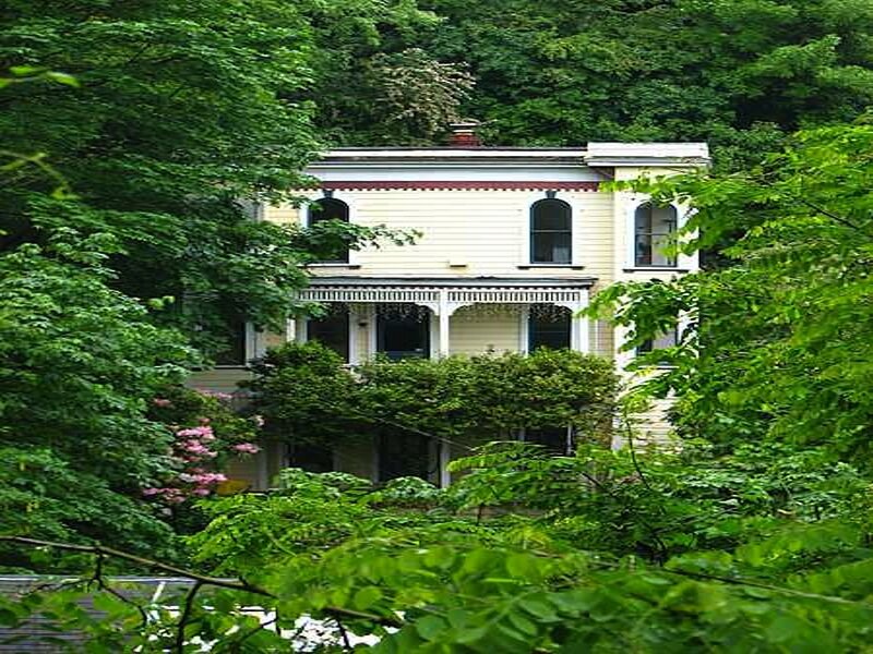 Yellow House in Forest — Green