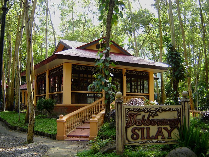 Yellow House in Forest